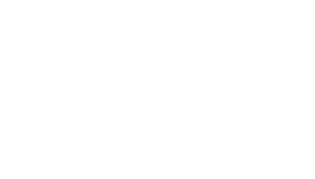 TechnikWunderland Logo